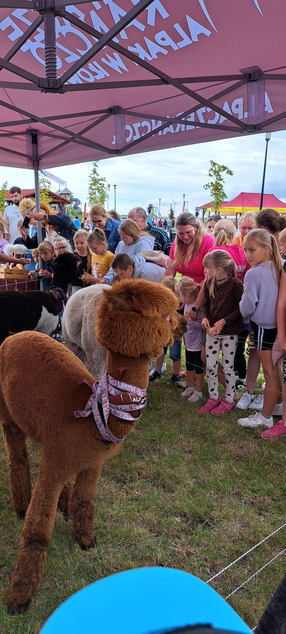 whatsapp-image-2025-09-08-at-14_11_301